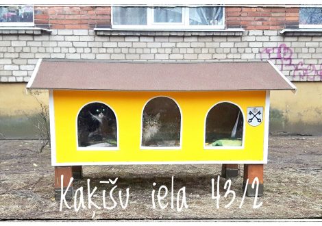 Мое будущее конкурсы Мое будущее конкурсы